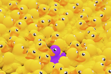 Unique purple toy duck among many yellow ones. Standing out from crowd, individuality and...