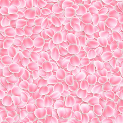 Seamless pink petals on white background. EPS 10 vector