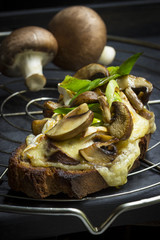 Bruscette mit Pilzen und geschmolzenem Käse  auf Drahtgitter mit zwei Pilzen im Hintergrund