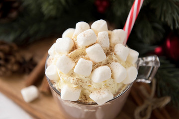 Hot spiced Christmas chocolate drink with marshmallows