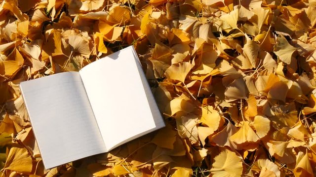 Open memo book on ginkgo leaves
