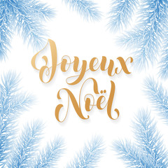 Joyeux Noel French Merry Christmas trendy golden quote calligraphy and fir branch wreath on white frozen blue snow background for winter holiday design template. Vector New Year tree frame golden font