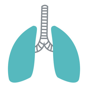 Lungs human organ icon vector illustration graphic design