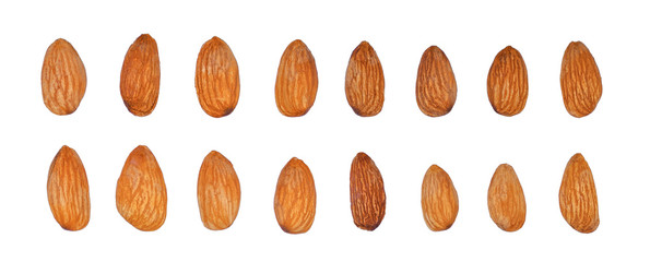 set of almond seeds isolated on white background