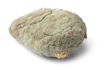 Moldy old bread