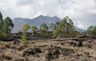 Volcano Landscape