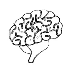 Human brain symbol