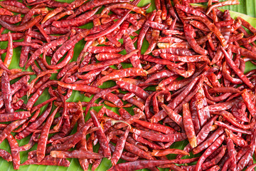 Dried red chillies on banana leaves, Healthy vegetables.Thailand.