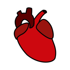 Human heart symbol icon vector illustration graphic design