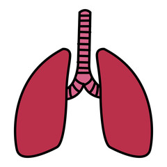 Lungs human organ icon vector illustration graphic design