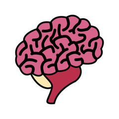 Human brain symbol icon vector illustration graphic design