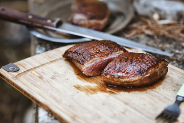 Duck steak on the board