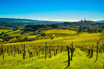 Fototapeta na wymiar San Gimignano panoramic medieval town towers skyline and vineyards. Tuscany, Italy