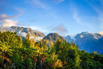 Franz Josef glacier and rain forest, New Zealand
