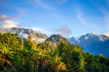 Tissu par mètre Nouvelle-Zélande Glacier Franz Josef et forêt tropicale, Nouvelle-Zélande
