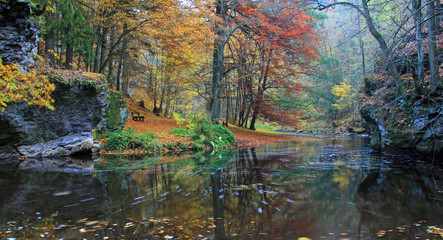 color river, autumn, czechia