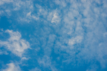 the bright blue sky at dawn