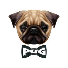 Realistic Pug Dog Portrait