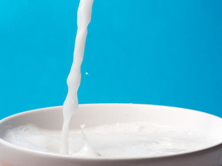 Splash of milk from a cup on blue background.