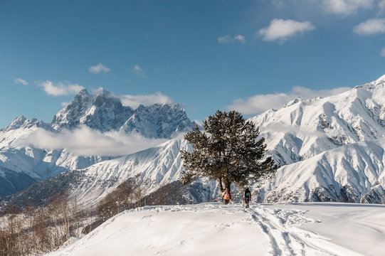 Scenic winter landscape of high mountain slopes