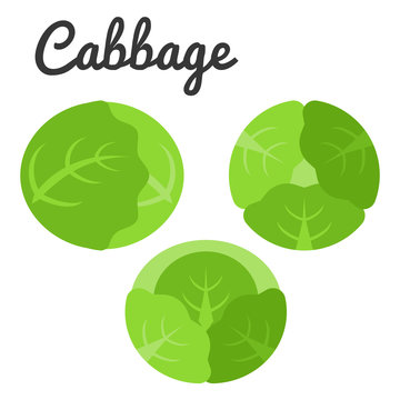 Different of three cabbage icon set, flat design