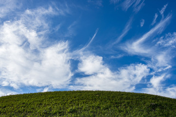草原と青空