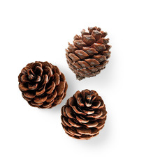 set of various pine christmas cone trees isolated on white background, With a carved path, a clipping mask