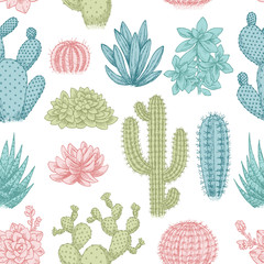 Cactus seamless pattern. Sketchy style illustration. Succulent collection. Vector illustration
