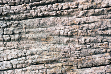 background  old  wood  texture