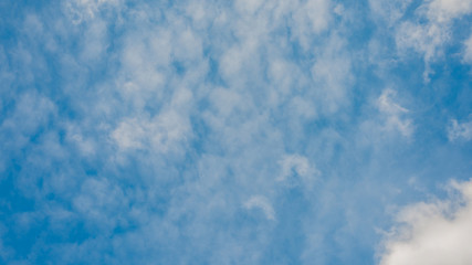 the bright blue sky at dawn