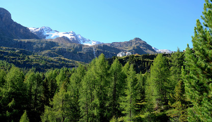 Zufallhütte im Martelltal
