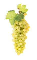 green grapes isolated on the white