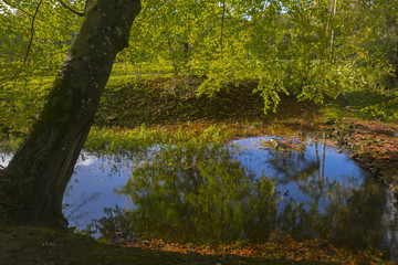Herbst an der Alstätter Aa