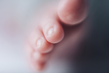 Obraz premium Newborn child is sleeping, sweet dreams of little baby, healthy sleep, newborn photographies