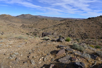 Lost horse Valley at the Joshua Tree National park.
