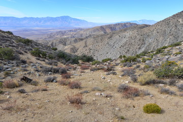 Lost horse Valley at the Joshua Tree National park.
