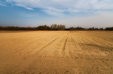 Fototapeta premium Campo Arato