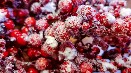 ягоды в снегу, замершие во льду