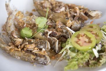 Deep Fried Fish with Garlic