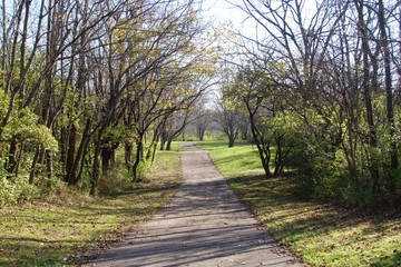 The long walkway in the park on a sunny fall day. 