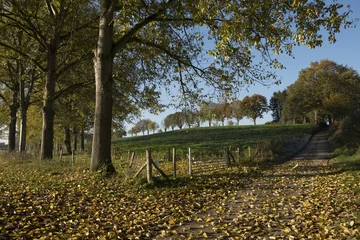 Fototapeten herfst landschap in Zuid-Limburg © twanwiermans