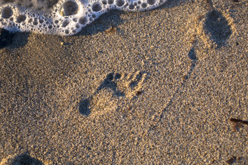 baby step on a sandy beach