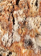 Closeup of a reddish stone found in the Austrian Alps