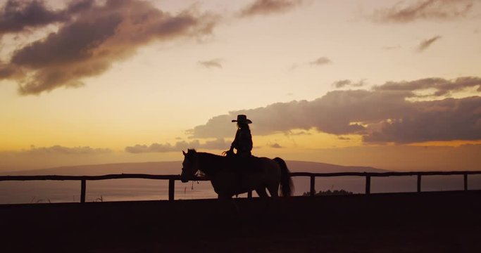 Silhouette of Woman horseback riding at sunset