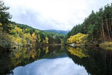 Fototapeta na wymiar Autumn lake reflections full