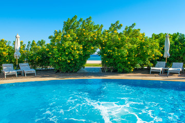 Pool with blue water