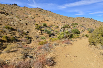 Fototapeta na wymiar Lost horse Valley at the Joshua Tree National park. 