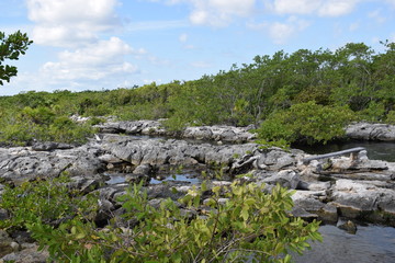 Lagune yal-ku Mexique