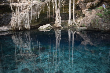 effet Miroir Cenote Mexique