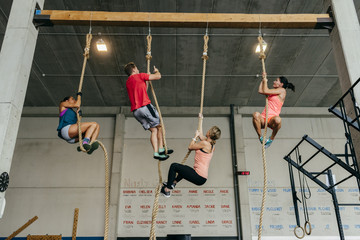 Sportspeople climbing ropes